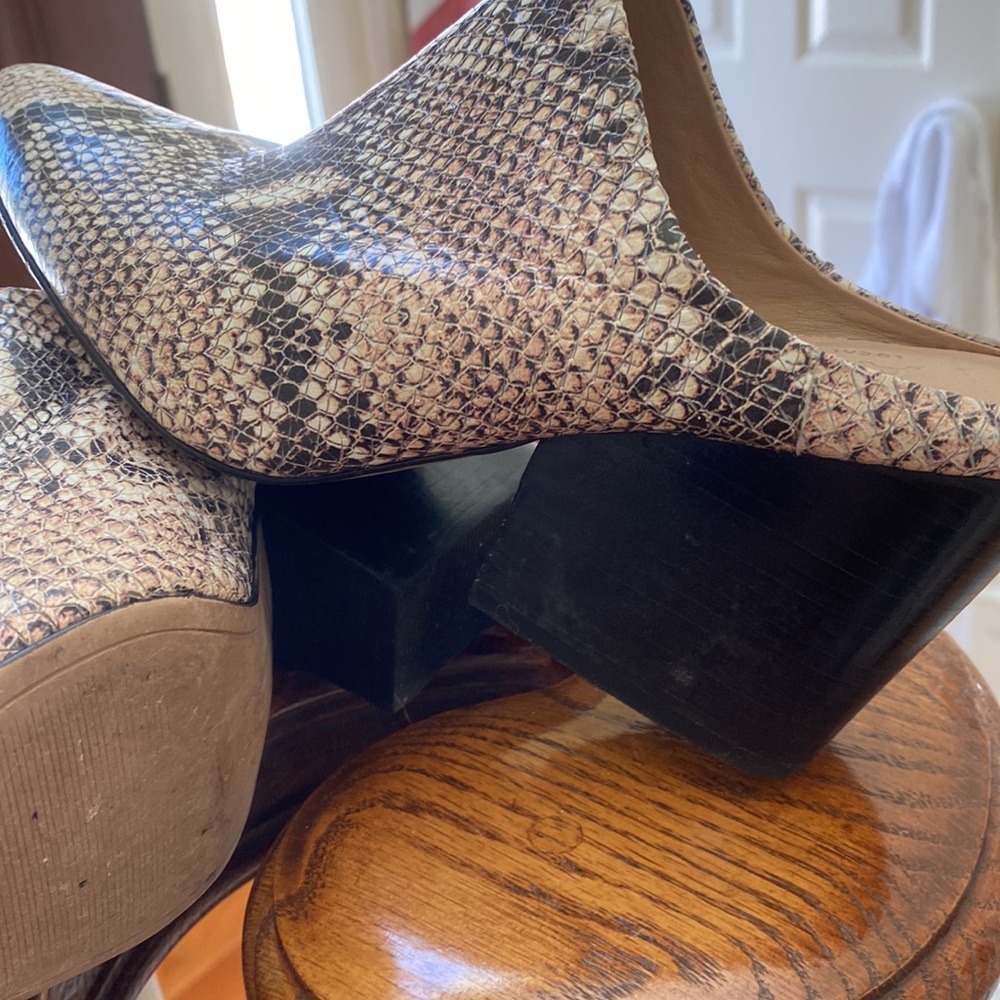 Able Mules - image 6